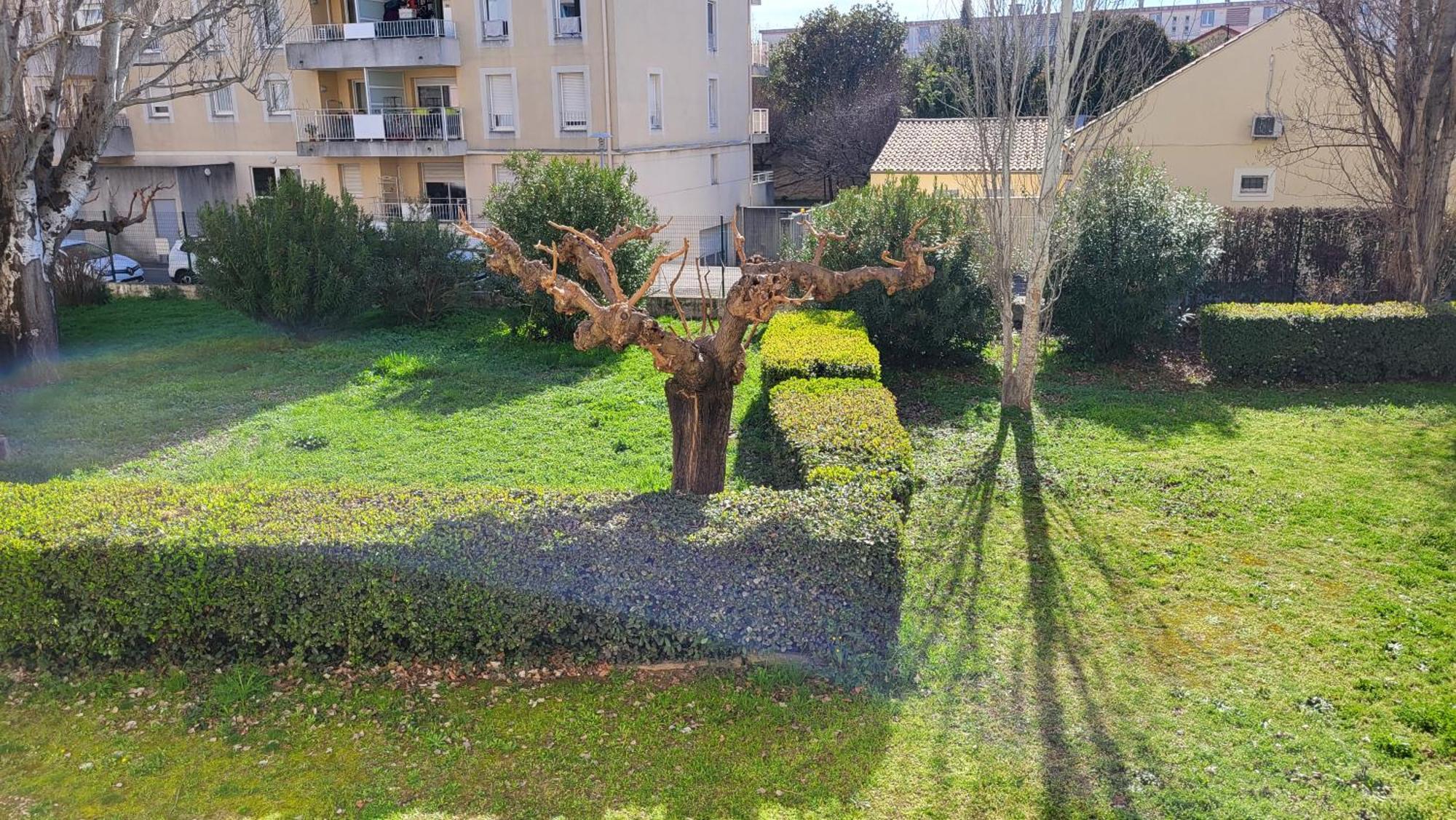 Apartamento Les Tourterelles D'Avignon 2 Exterior foto